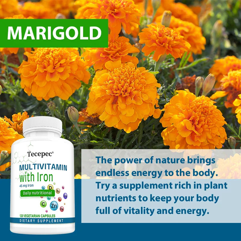 Multivitamin Supplements, Containing Minerals Such As Iron, Zinc, and Calcium, Support Overall Health and Supplement Nutrition