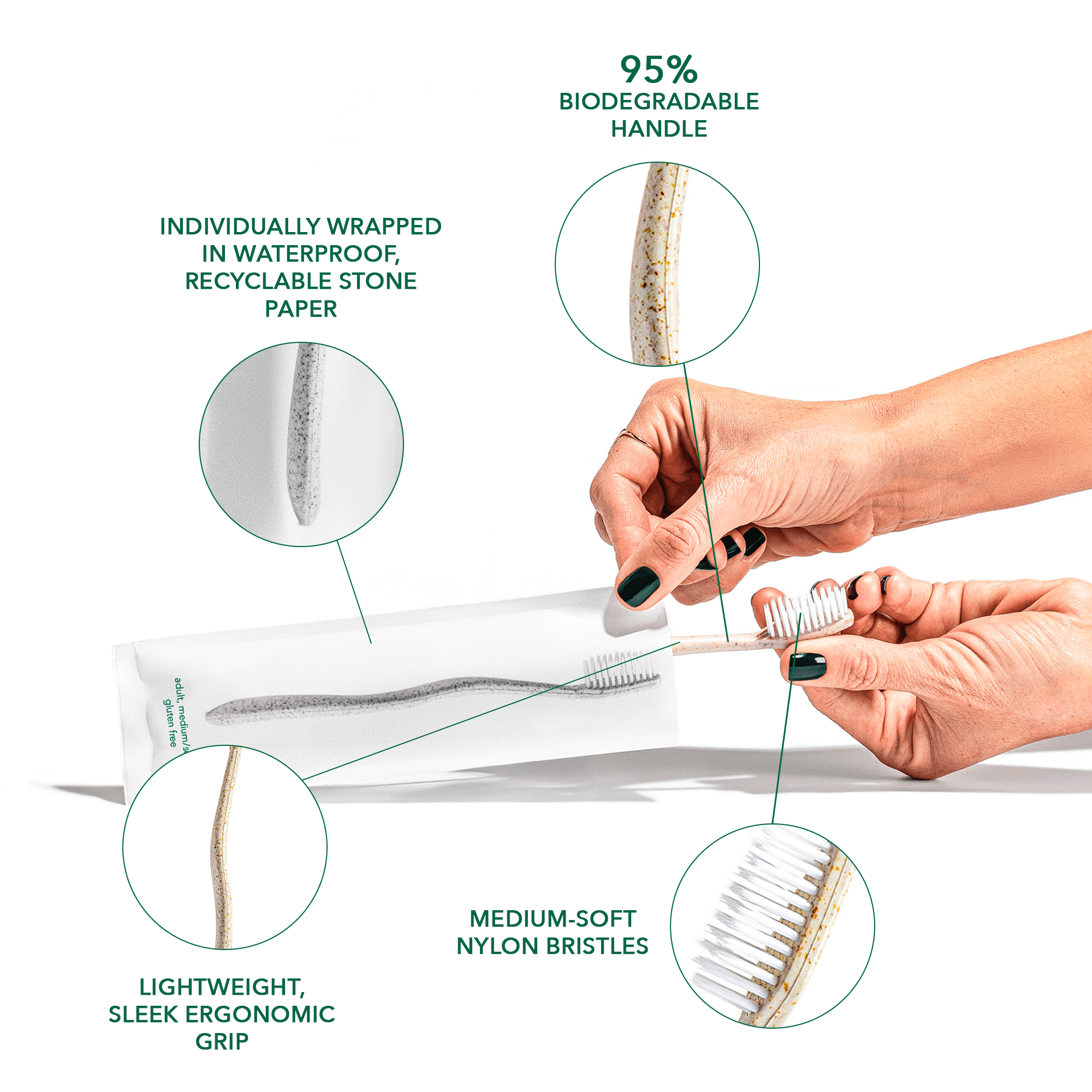 Gentle Green Toothbrush Family Pack (10 Count) – Eco-Friendly Wheat Straw Toothbrushes for Sensitive Teeth | BPA-Free, Travel-Friendly, Plastic-Free